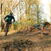 Équipement caniVTT gamme ALM