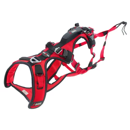 Harnais Confort Trek I-DOG