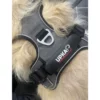 Harnais STYLE I-DOG