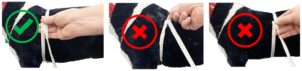 Guide de taille