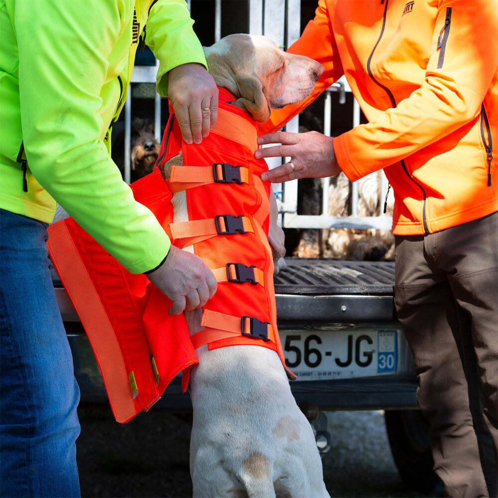 Gilet de protection Canihunt PROTECT DOG ARMOR V3