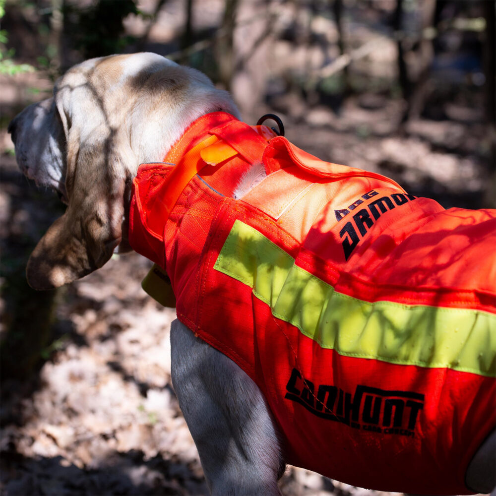 Gilet de protection Canihunt PROTECT DOG ARMOR V3