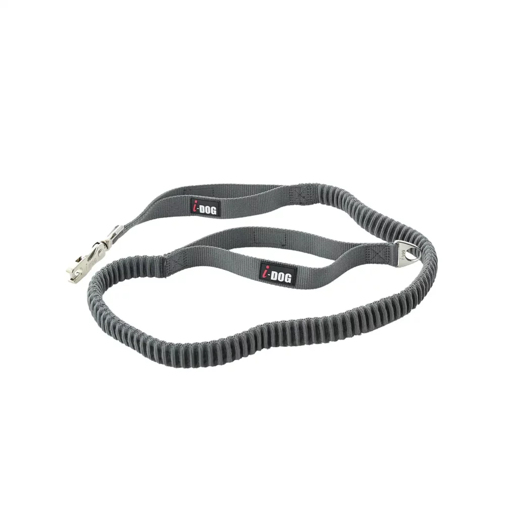 Longe de traction polyvalente cani-marche