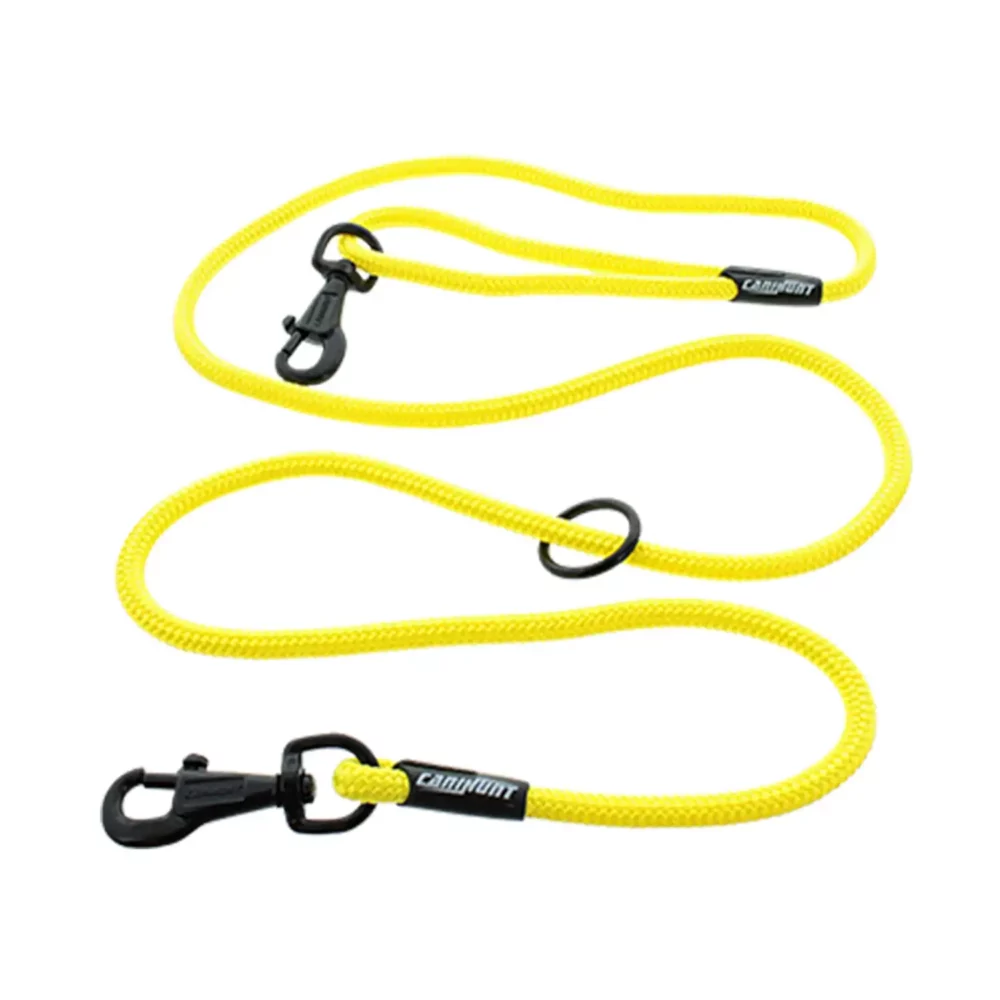 Laisse pour chien approche ronde ALP 180 cm