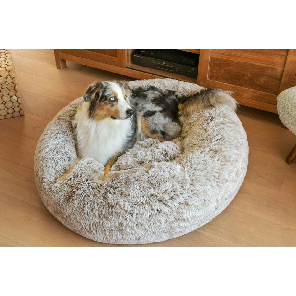 Donut POILU pour chien BB