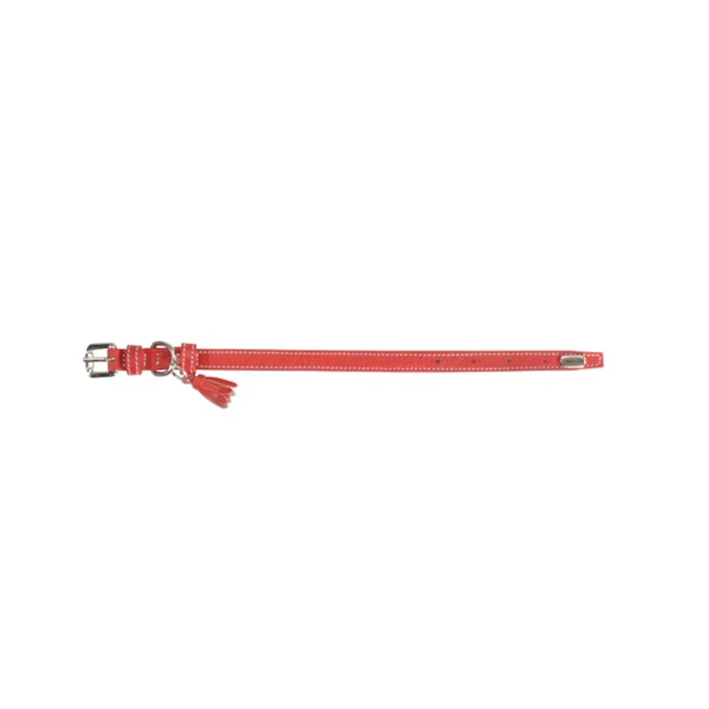 Collier en cuir rouge avec pompon pour chien CM