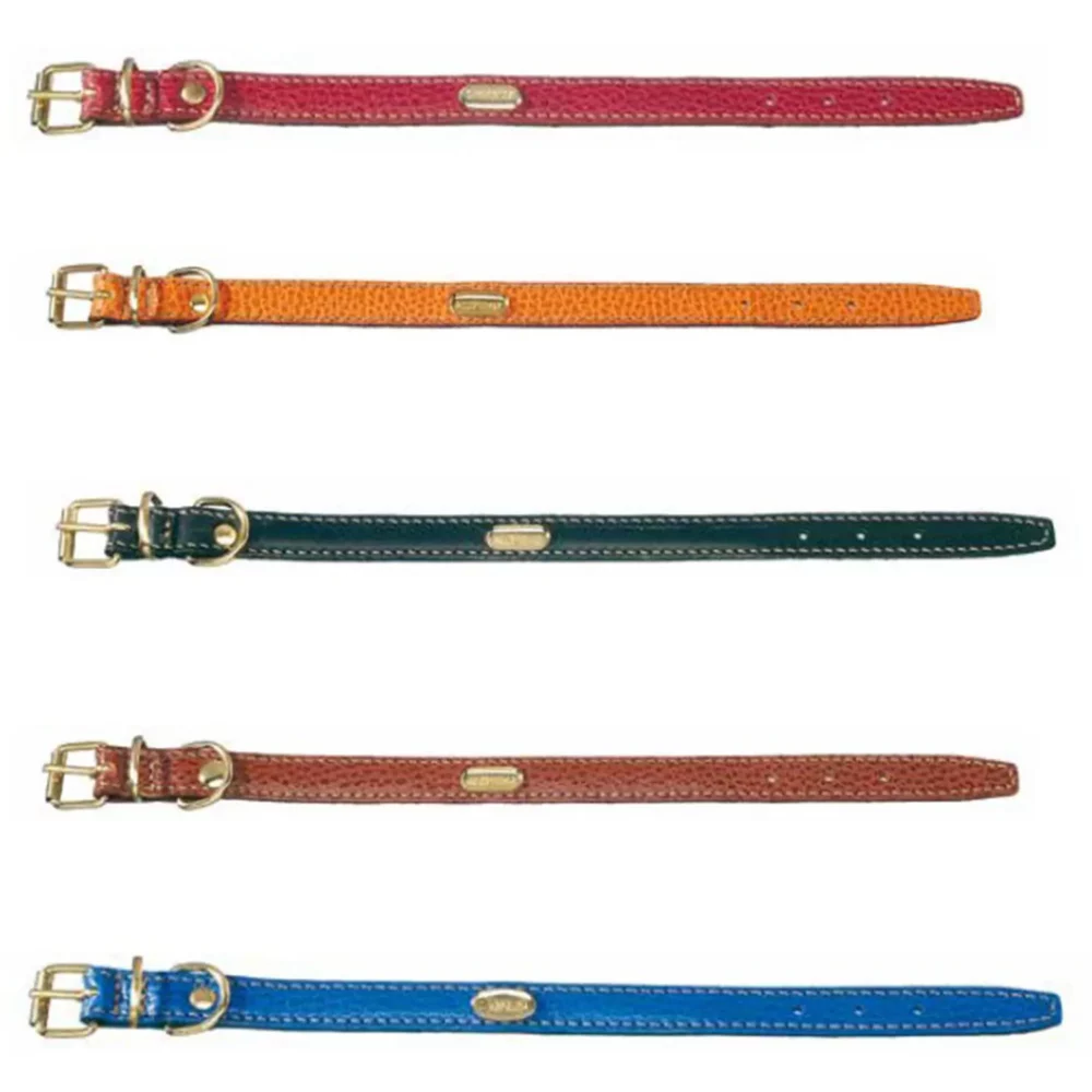 Collier plat en cuir pour chien CM