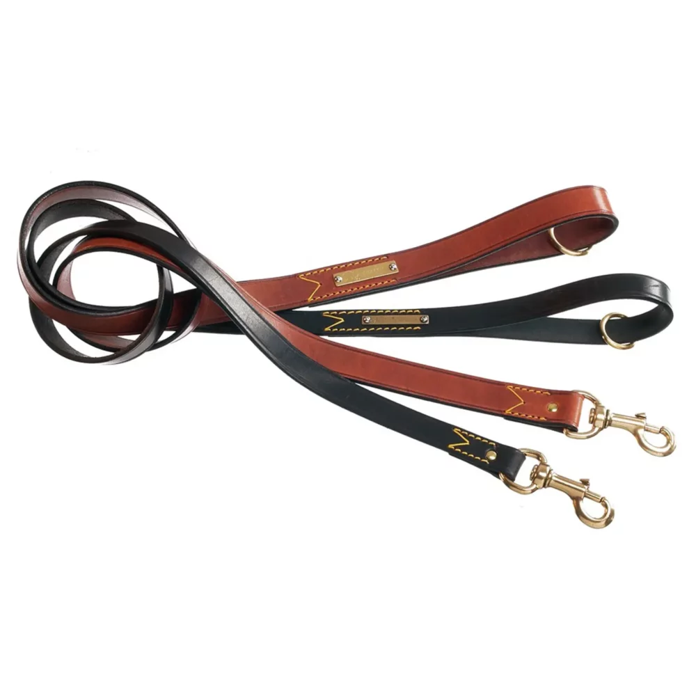 Laisse "Classic" pour chien CM