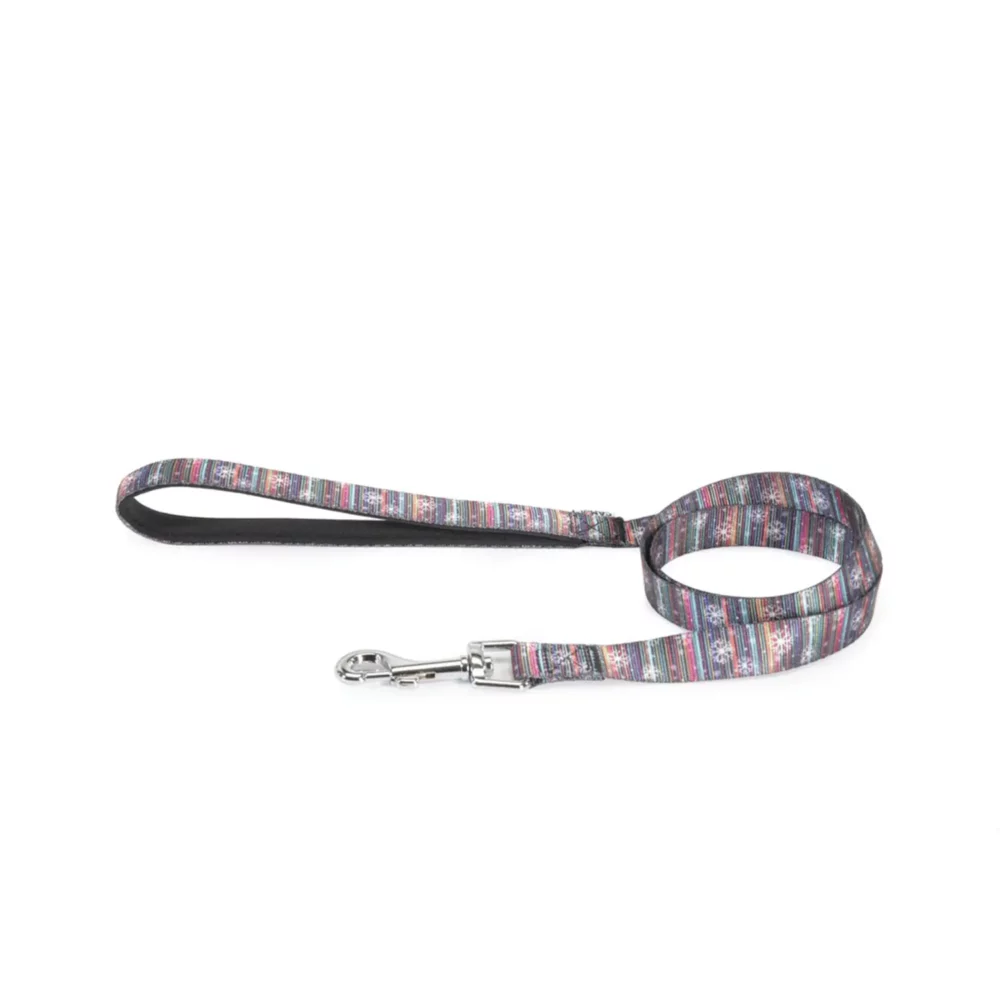 Laisse "Multicolor" pour chien CM