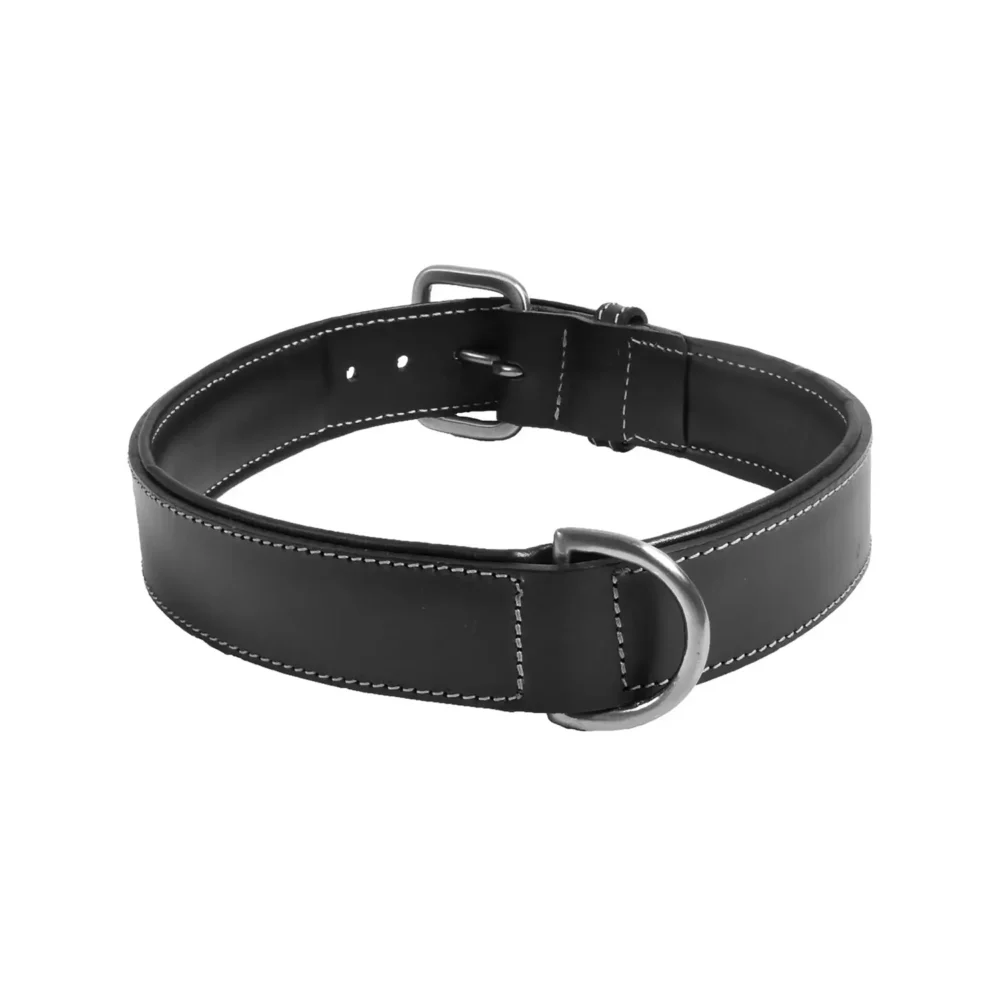 Collier classique HAUTE FINITION pour chien BB