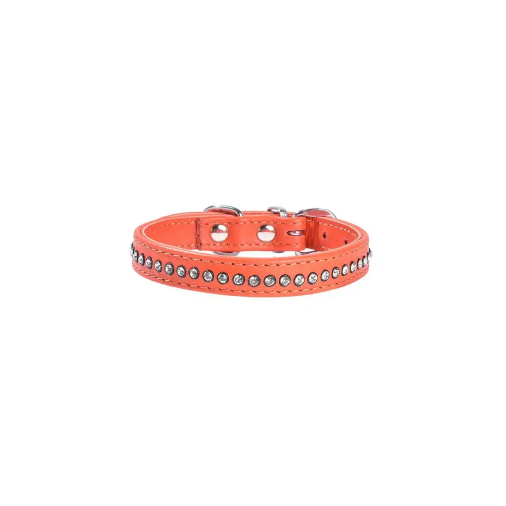 Collier ECLAT pour chien BB
