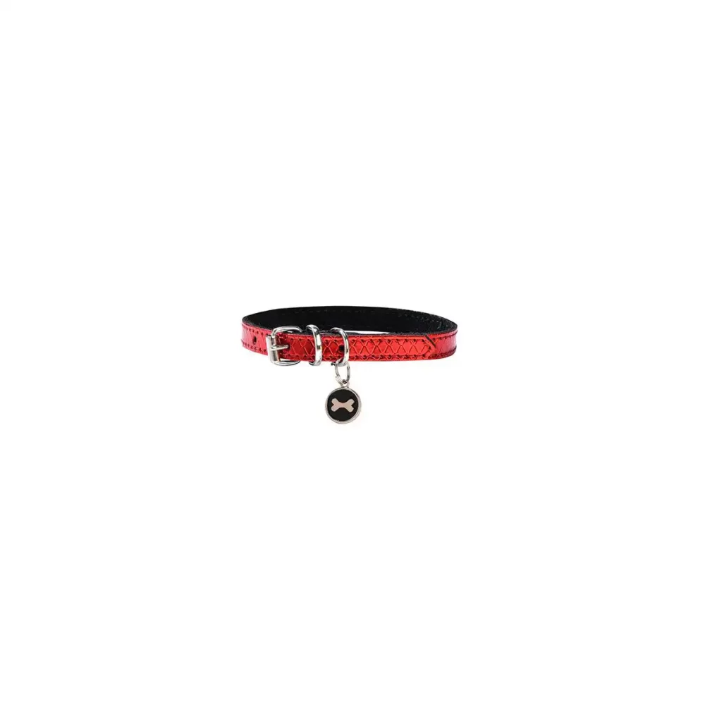 Collier POWER pour chien BB