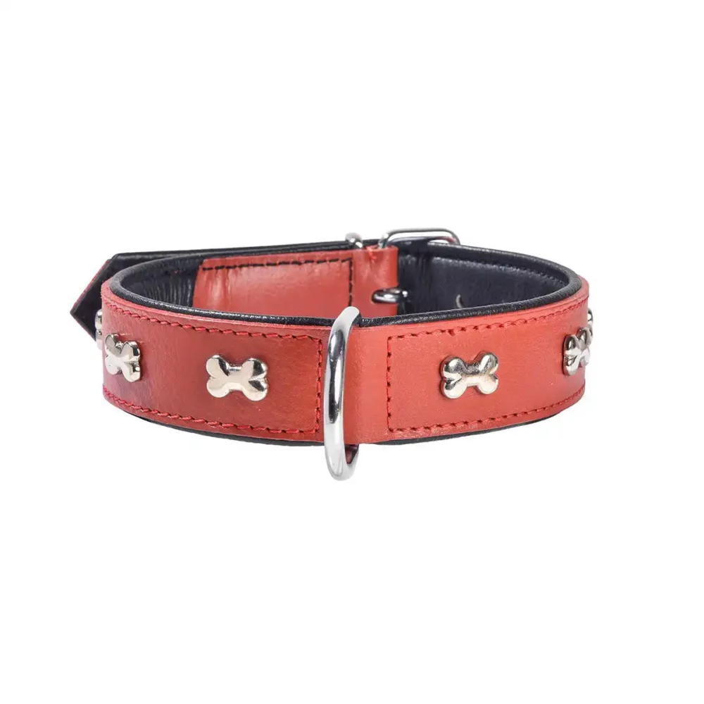 Collier EXTRA SOUPLE XL pour chien BB
