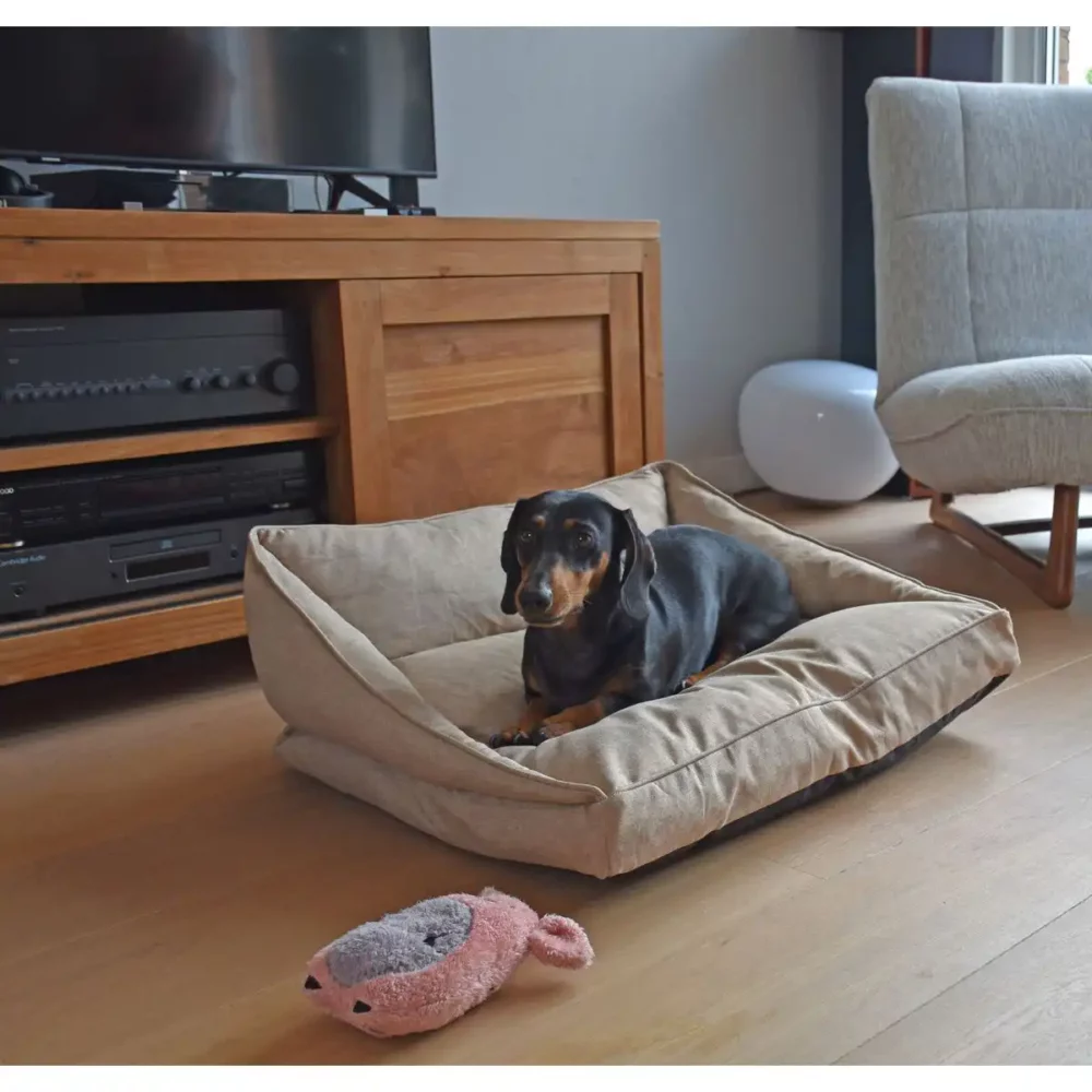 Panier CONFORT pour chien BB