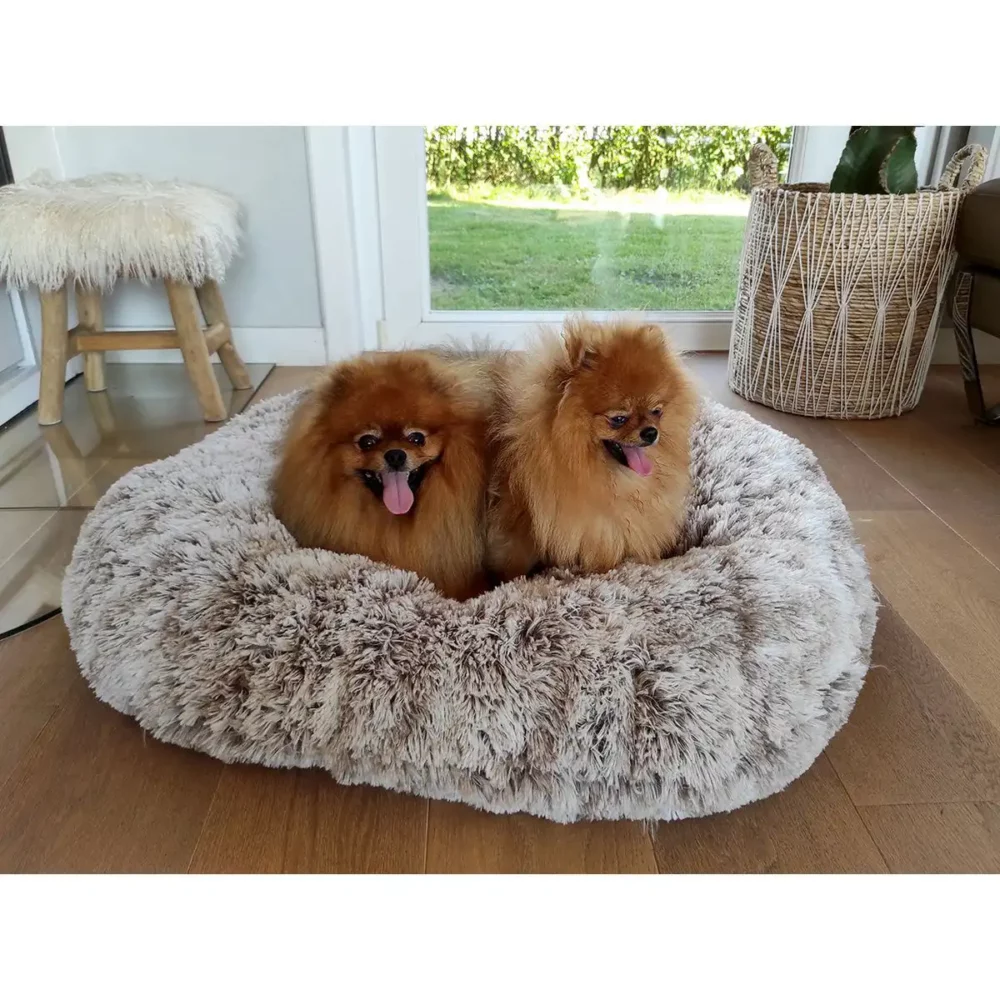 Coussin oval POILU pour chien BB