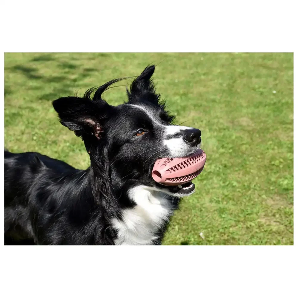 Jouet BALLE pour chien BB