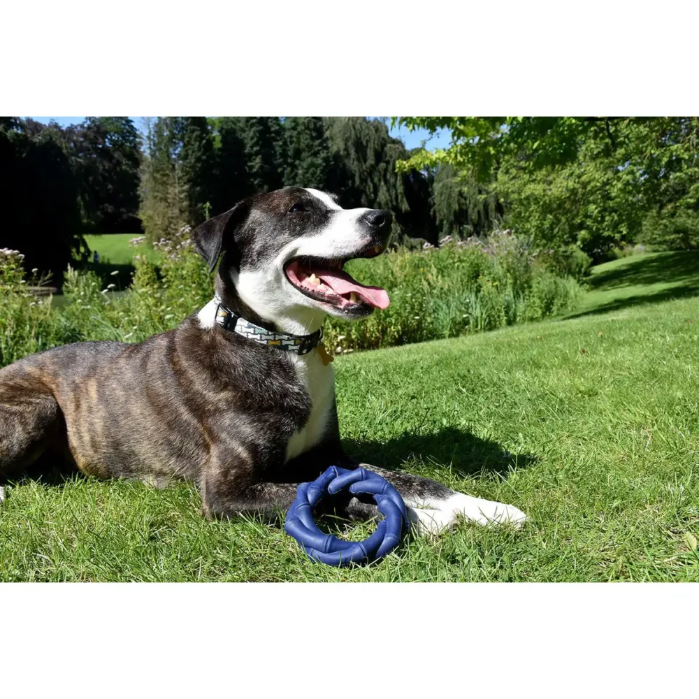 Jouet BAMBOU pour chien BB