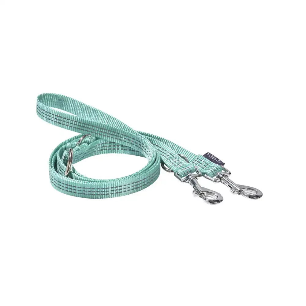 Laisse SAFE pour chien BB