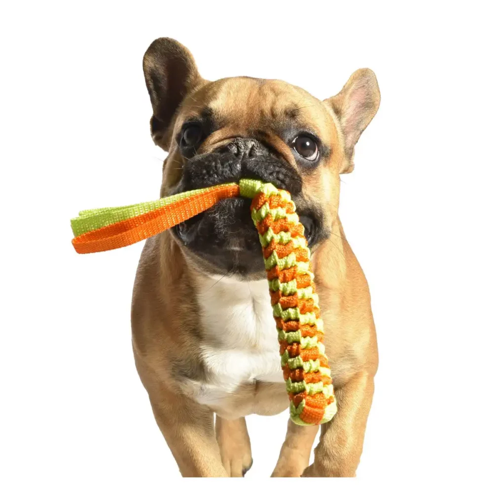 Jouet SCOUBY pour chien BB