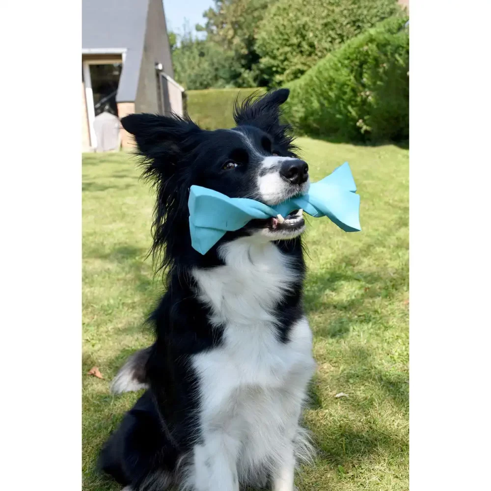 Jouet TWIST pour chien BB
