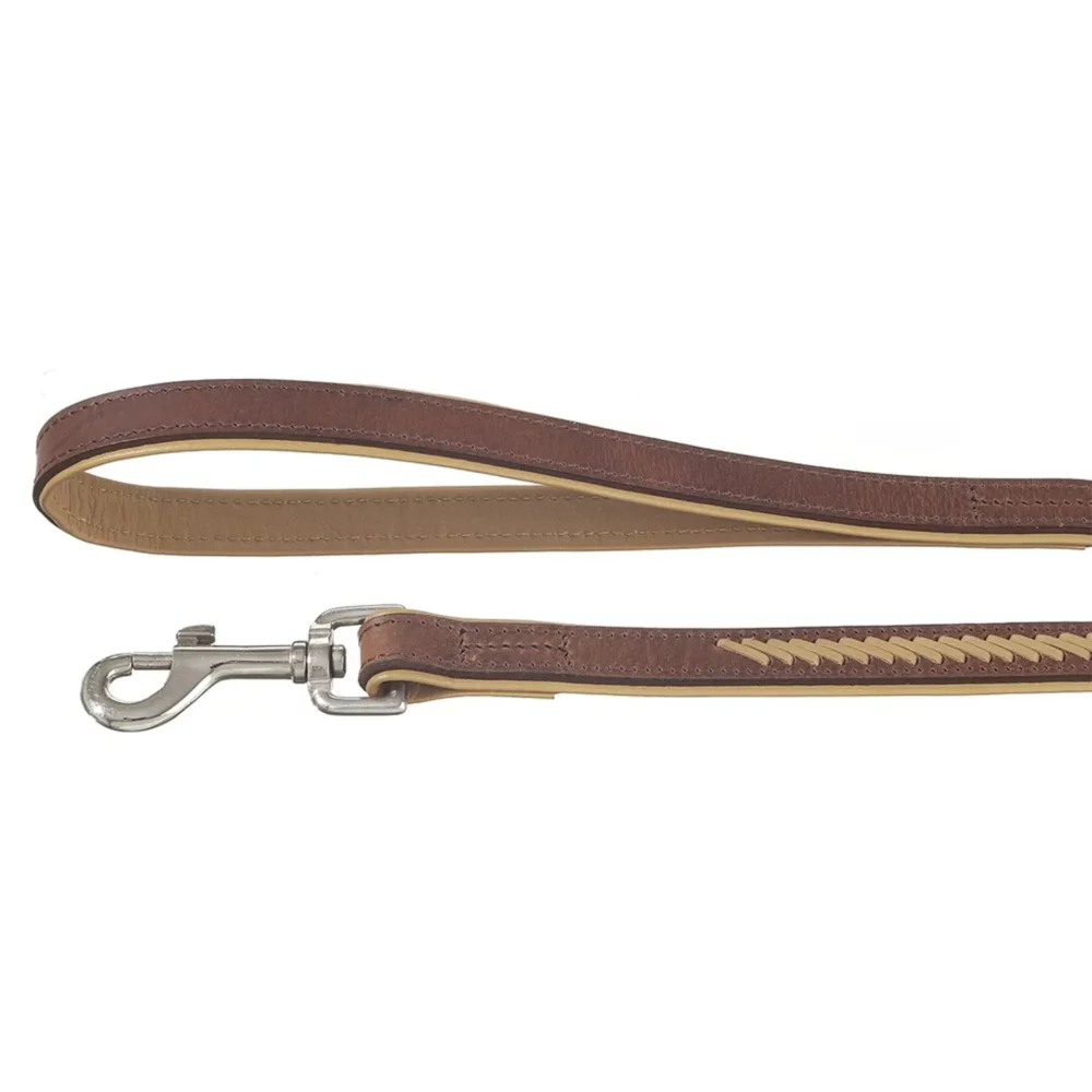 Laisse en cuir décorée pour chien CM