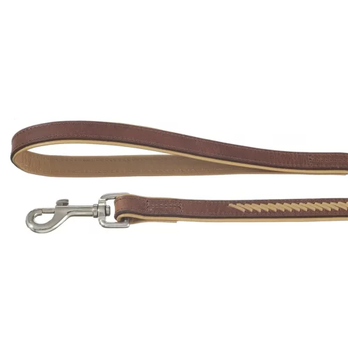 Laisse en cuir décorée pour chien CM