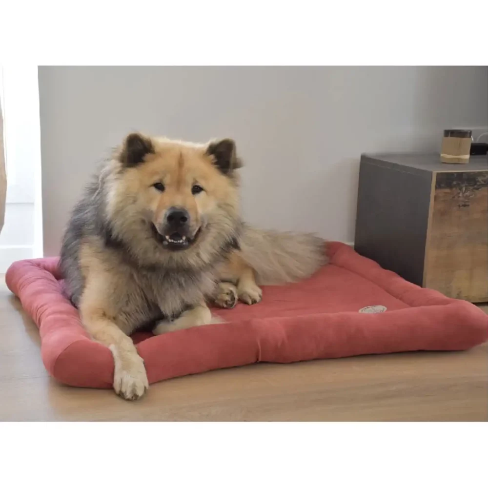 Matelas DOUCE pour chien BB