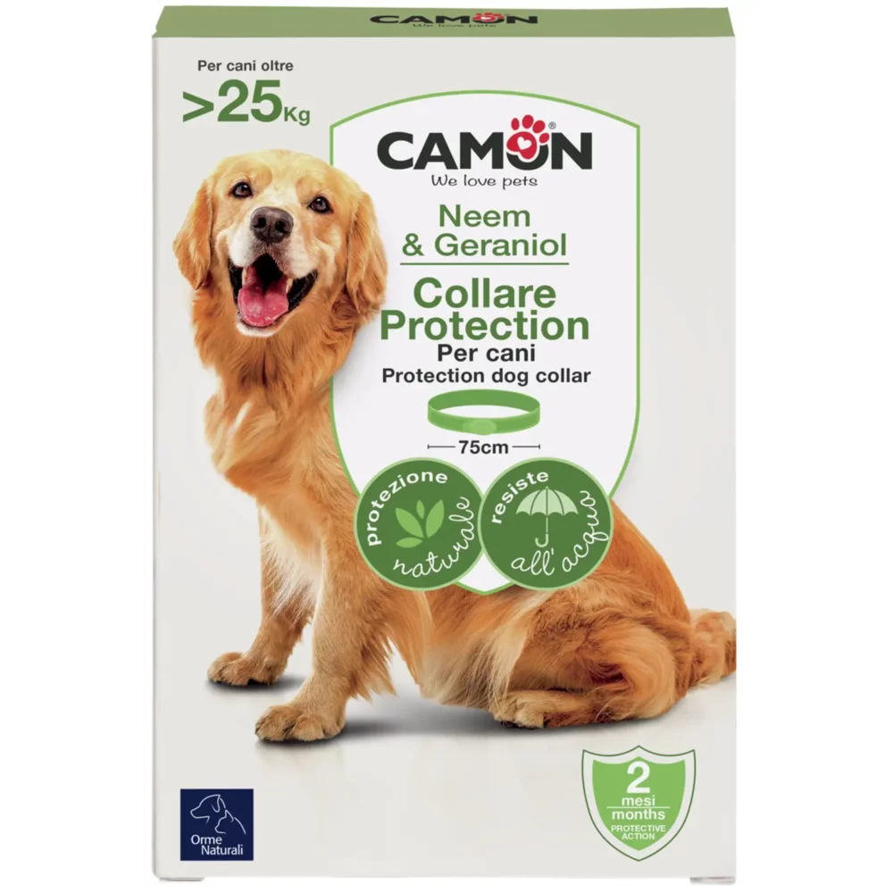 Image du produit