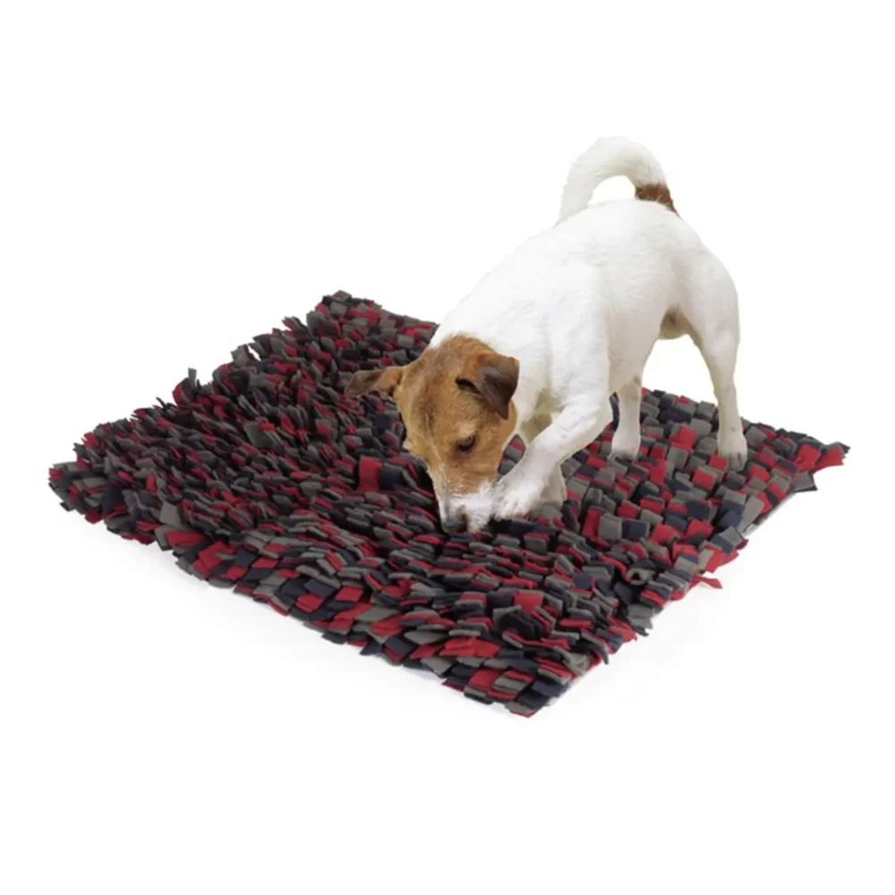 Jeu de stratégie « Genius » mat pour chien CM