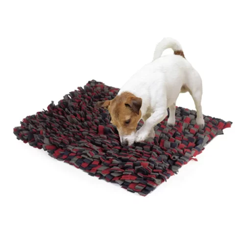 Jeu de stratégie « Genius » mat pour chien CM