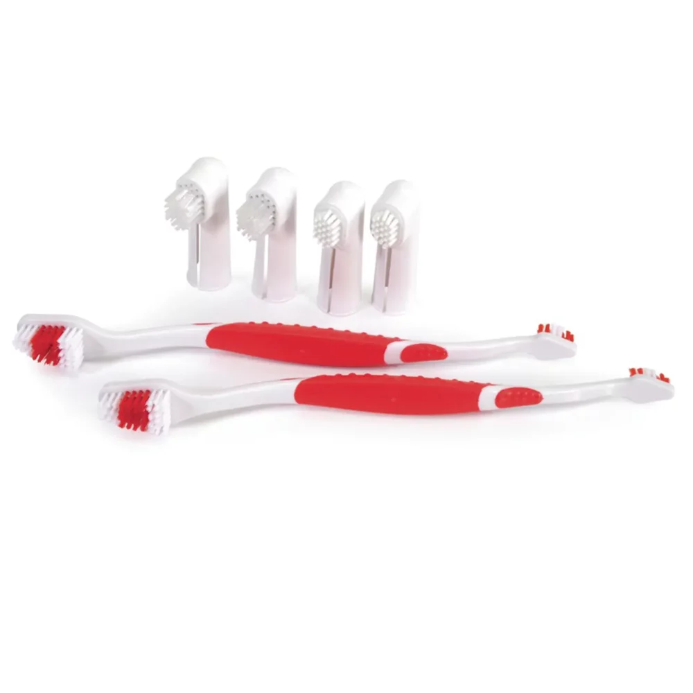 Set de brosses à dents pour chiens CM