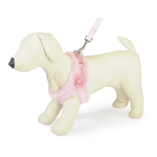 Harnais avec laisse pour chien CM