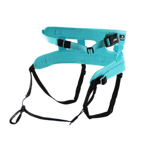 Baudrier canirando, canitrail gamme RAIDLIGHT bleu